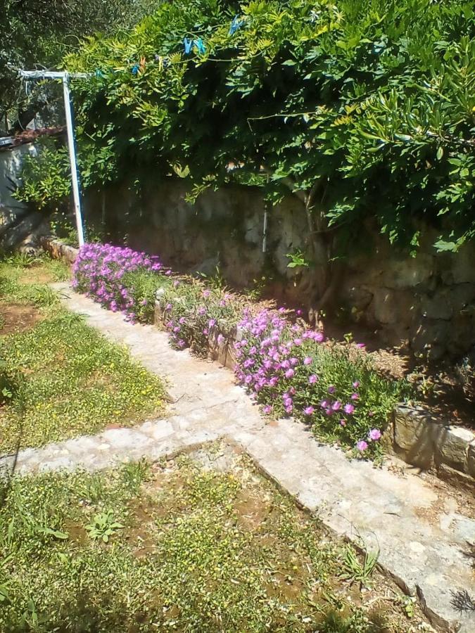 קרק Apartman-Maja-Krk מראה חיצוני תמונה